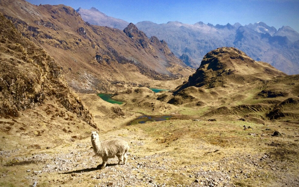 The Lares Trek/Run - NEW 2 DAY TREK!